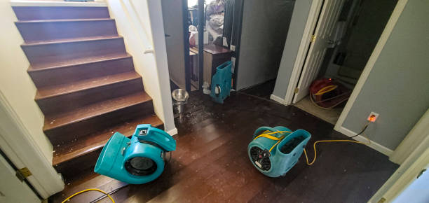 Best Water damage cleanup near me  in Winthrop, IA