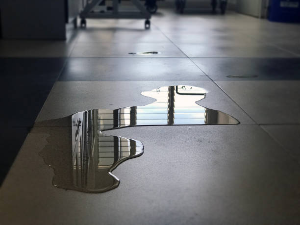 Water damage restoration insurance claims in Winthrop, IA