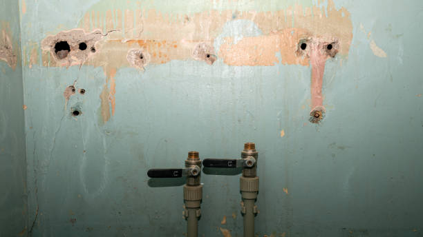 Best Fire Damage Restoration  in Winthrop, IA